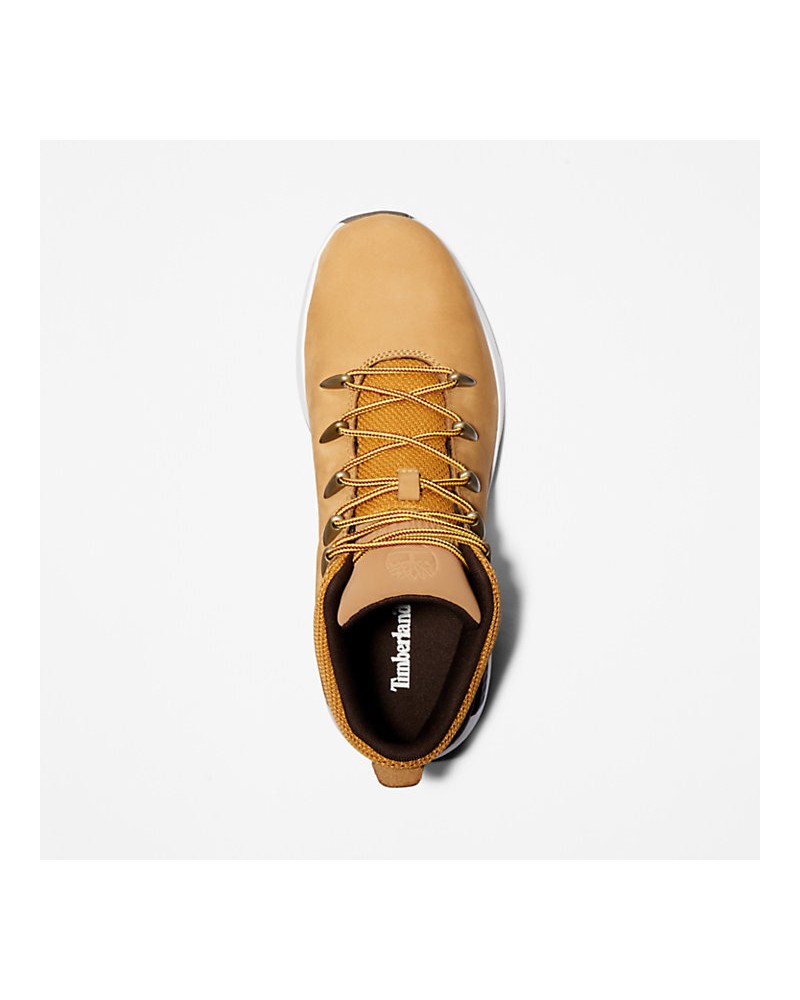 Chaussure de randonnée Timberland pour homme. TB0A257D2311 FIESTA CONCEPT STORE