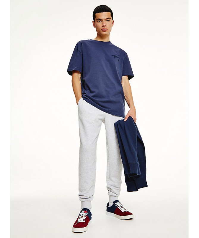 Tee shirt Tommy Hilfiger pour homme avec logo. DM0DM12419 FIESTA CONCEPT STORE
