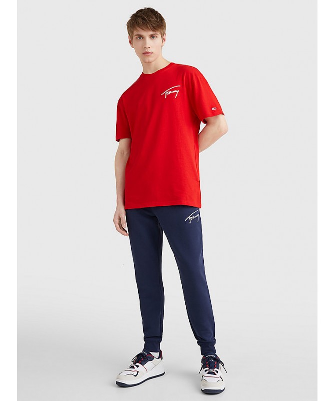 Tee shirt Tommy Hilfiger pour homme avec logo. DM0DM12419 FIESTA CONCEPT STORE