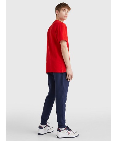 Tee shirt Tommy Hilfiger pour homme avec logo. DM0DM12419 FIESTA CONCEPT STORE