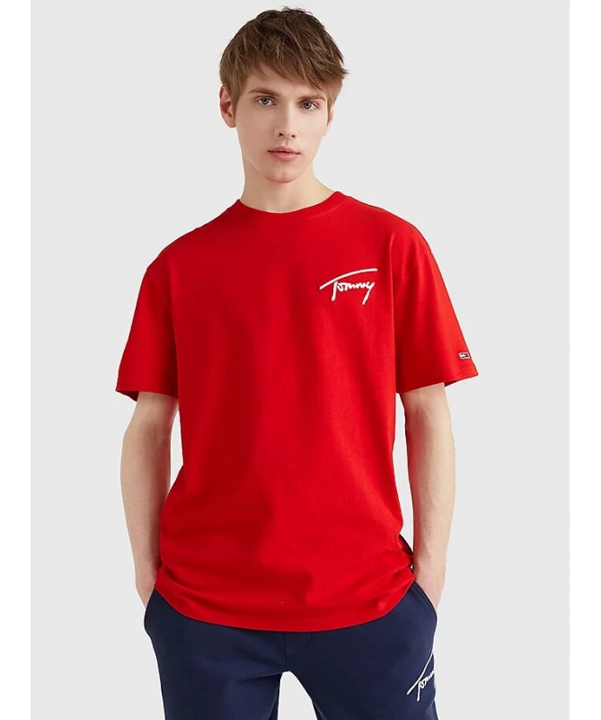 Tee shirt Tommy Hilfiger pour homme avec logo. DM0DM12419 FIESTA CONCEPT STORE