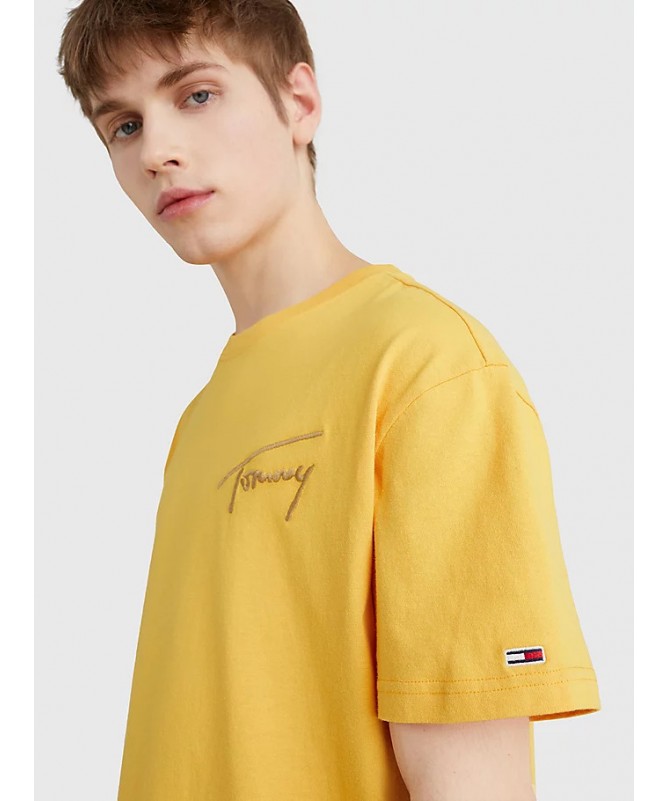 Tee shirt Tommy Hilfiger pour homme avec logo. DM0DM12419 FIESTA CONCEPT STORE