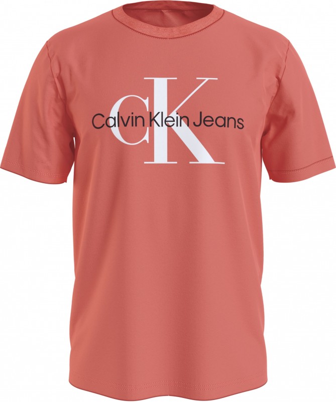 T shirt homme Calvin Klein avec logo imprimé sur la poitrine J30J320806
FIESTA
